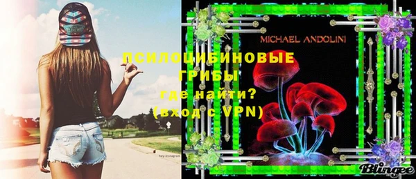 тгк Вяземский