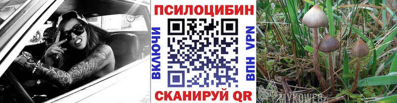 Галлюциногенные грибы ЛСД  Купить закладки  Мелеуз 